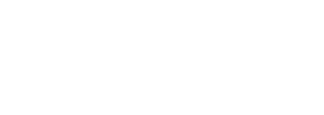 Logo Van Dam Data
