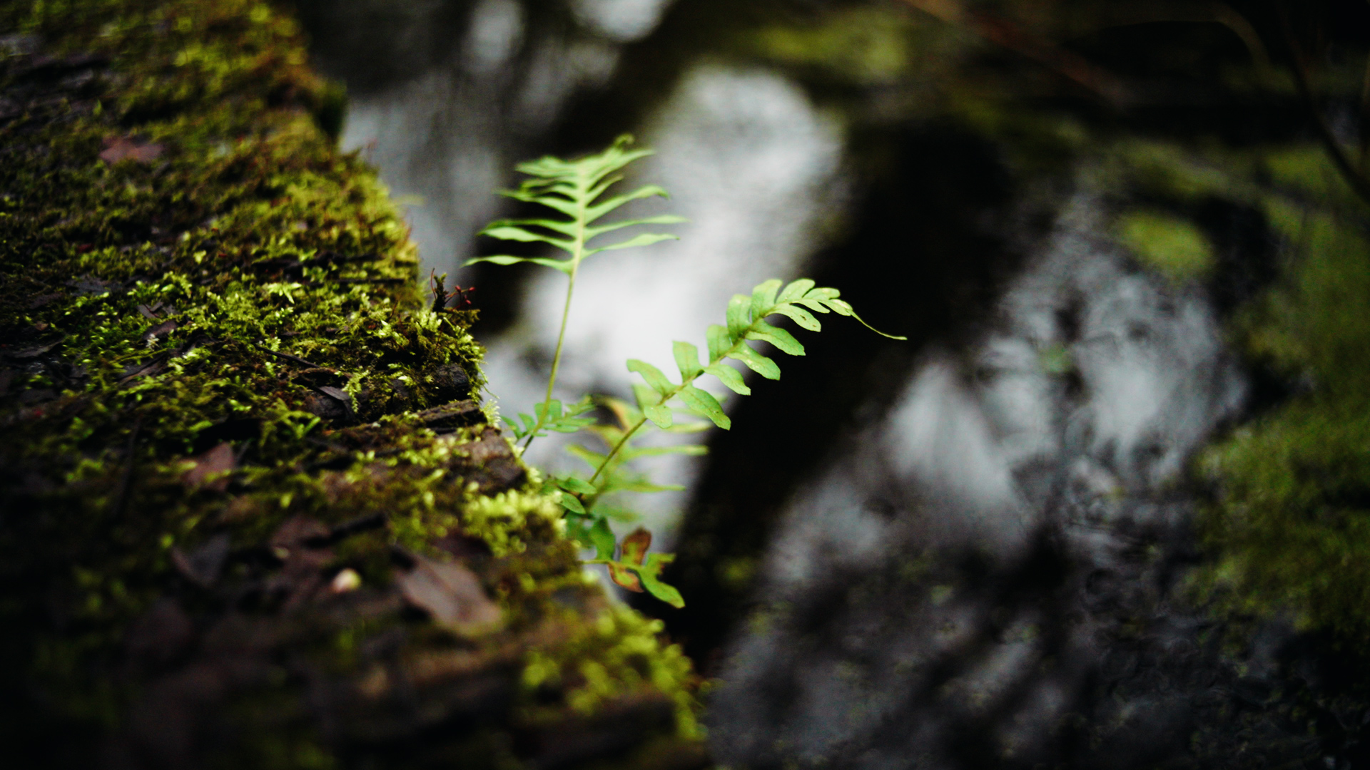 Recruitmentmarketing ODBN